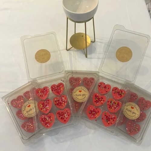 Soy Wax Melts & Buddha burner