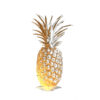 Pineapple gold foil Print